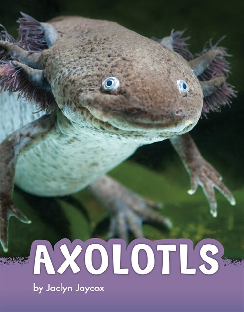 Axolotls (Hardcover)
