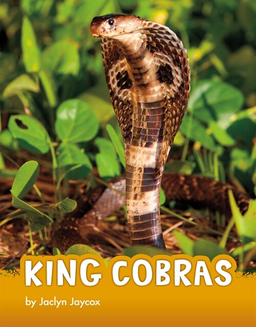 King Cobras (Hardcover)