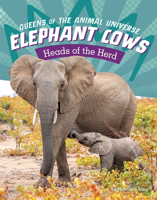 Elephant Cows: Heads of the Herd (Paperback)