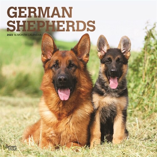 German Shepherds 2023 Square Foil (Wall)