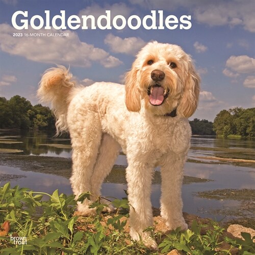 Goldendoodles 2023 Square (Wall)