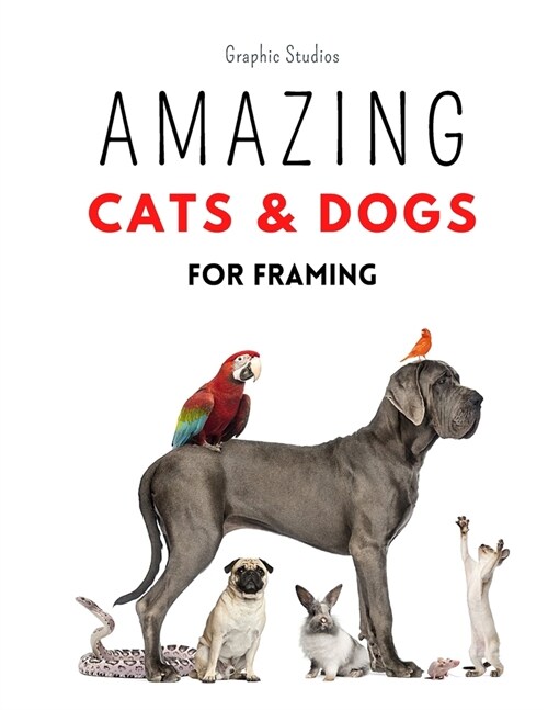 Amazing Cats and Dogs for Framing: Amazing pet photos, funny dogs and cats to frame (Paperback)