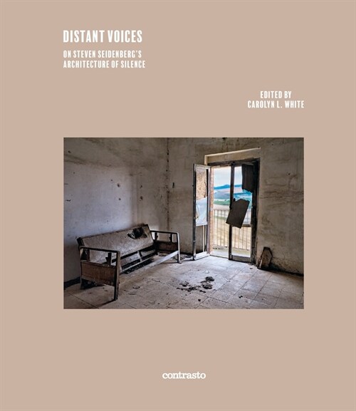 Distant Voices: On Steven Seidenbergs the Architecture of Silence (Hardcover)