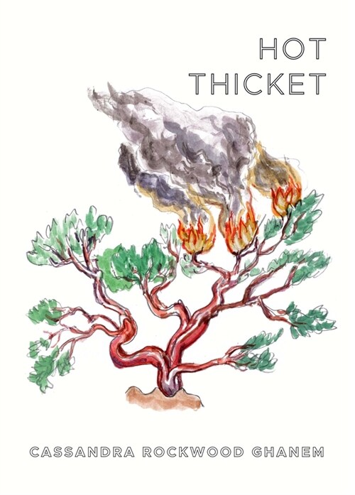 Hot Thicket (Paperback)