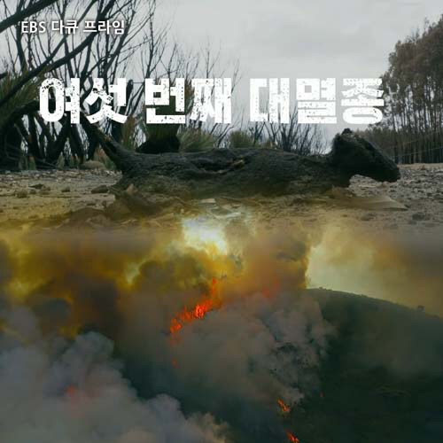 여섯 번째 대멸종 (5disc)