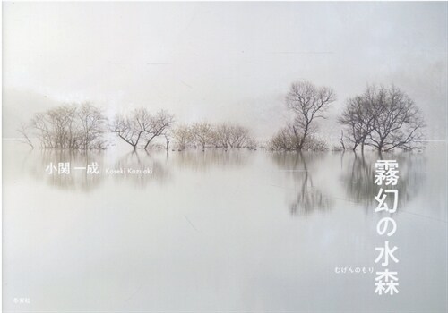 霧幻の水森