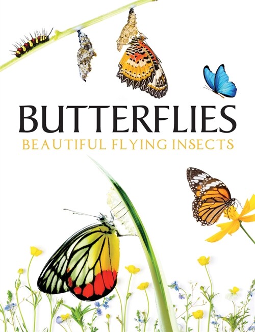 Butterflies : Beautiful Flying Insects (Hardcover)