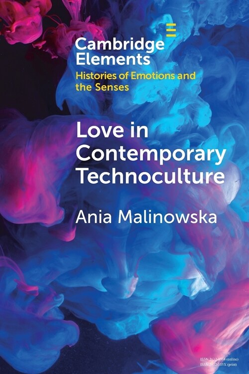 Love in Contemporary Technoculture (Paperback, New ed)