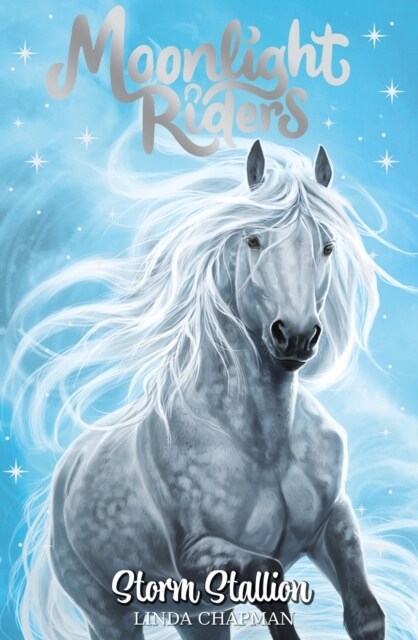 Moonlight Riders: Storm Stallion : Book 2 (Paperback)