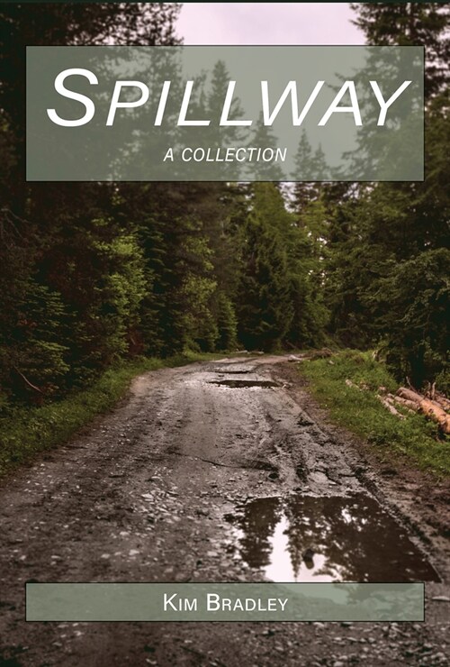 Spillway (Paperback)
