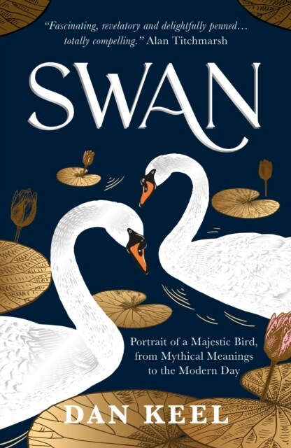 Swan : Portrait of a Majestic Bird, from Mythical Meanings to the Modern Day (Paperback)