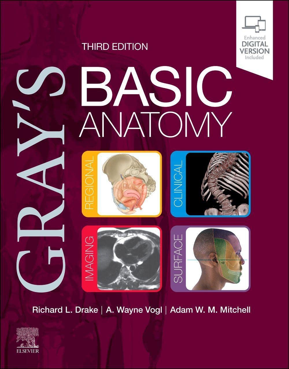Grays Basic Anatomy (Paperback, 3 ed)
