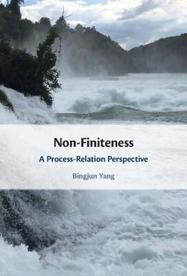 Non-Finiteness : A Process-Relation Perspective (Hardcover, New ed)