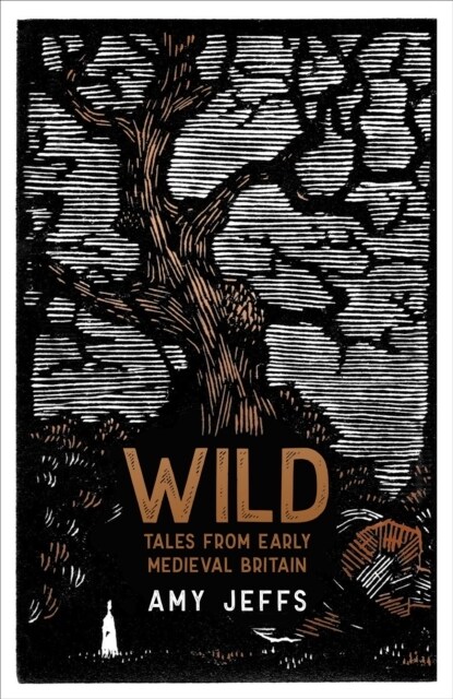 Wild : Tales from Early Medieval Britain (Hardcover)