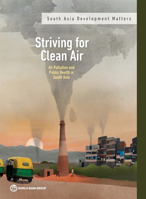 Striving for Clean Air (Paperback)