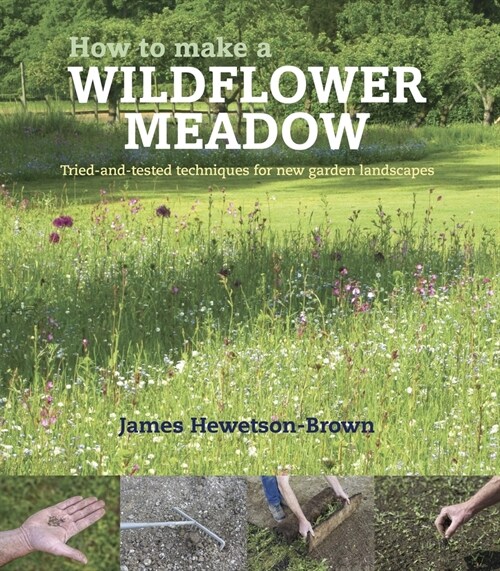 How to make a wildflower meadow : Tried-And-Tested Techniques for New Garden Landscapes (Paperback)