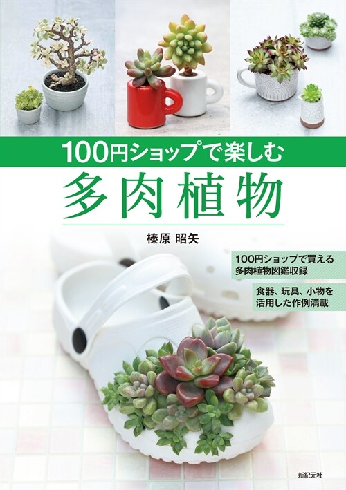 100円ショップで樂しむ多肉植物