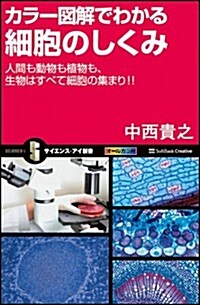 カラ-圖解でわかる細胞のしくみ  人間も動物も植物も、生物はすべて細胞の集まり!! (サイエンス·アイ新書) (新書)