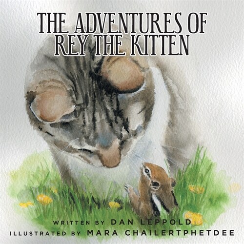 The Adventures of Rey the Kitten (Paperback)
