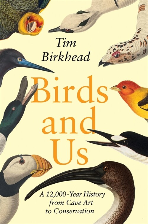 Birds and Us: A 12,000-Year History from Cave Art to Conservation (Hardcover)