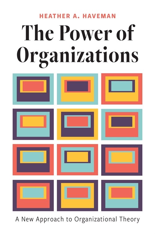 The Power of Organizations: A New Approach to Organizational Theory (Paperback)
