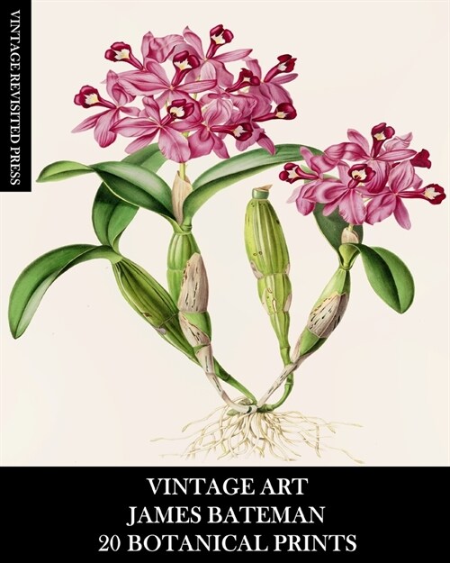 Vintage Art: James Bateman: 20 Botanical Prints: Orchid Ephemera for Framing, Home Decor, Collage and Decoupage (Paperback)