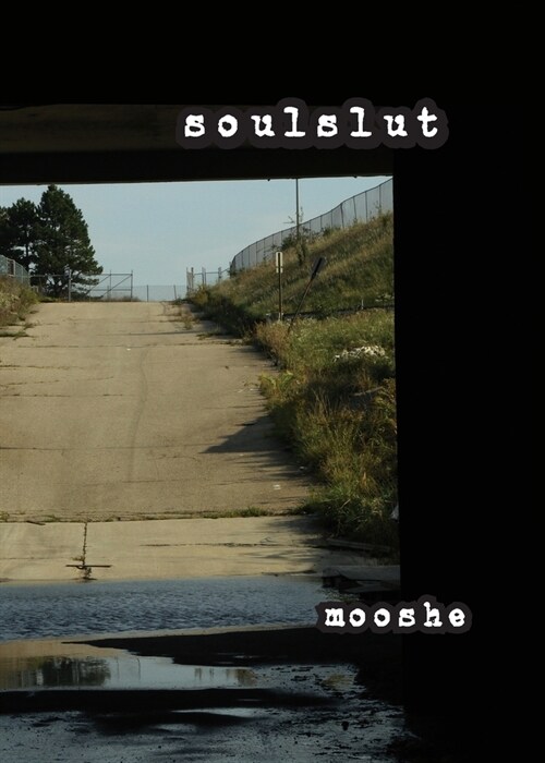 soulslut (Paperback)