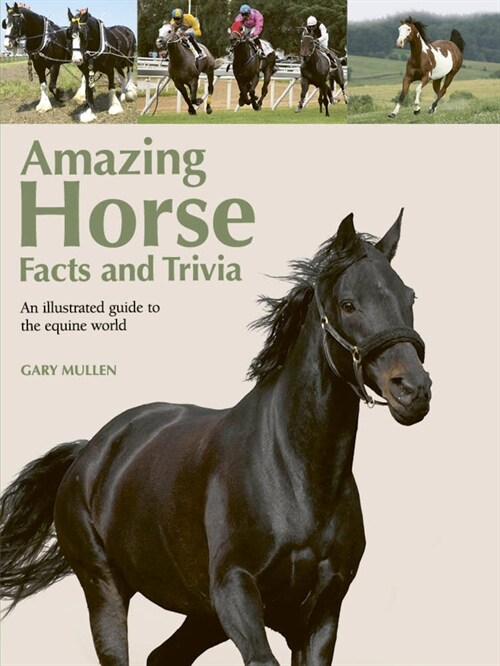 Amazing Horse Facts and Trivia: An Illustrated Guide to the Equine World (Spiral)