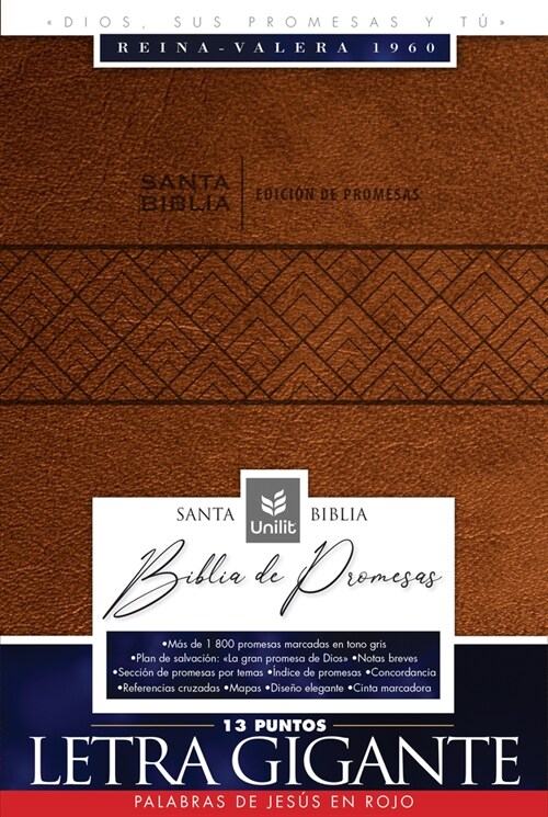 Santa Biblia de Promesas Reina-Valera 1960 / Letra Gigante - 13 Puntos / Piel Especial / Caf?// Spanish Promise Bible Rvr60 / Giant Print - 13 Points (Imitation Leather)