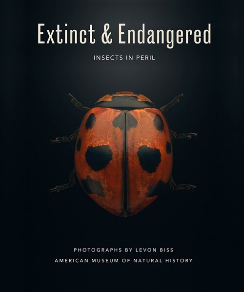 Extinct & Endangered: Insects in Peril (Hardcover)