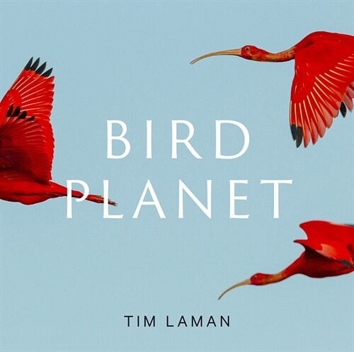 Bird Planet: A Photographic Journey (Hardcover)