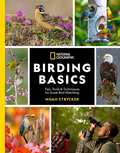 National Geographic Birding Basics: Tips, Tools, and Techniques for Great Bird-Watching (Paperback)