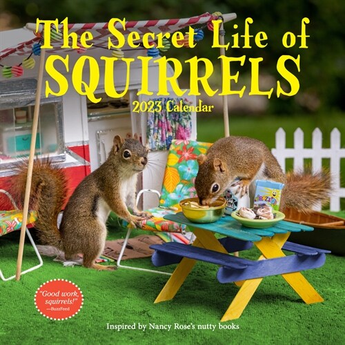 The Secret Life of Squirrels Wall Calendar 2023: Wild Squirrels Interacting with Handcrafted Domestic Scenes (Wall)