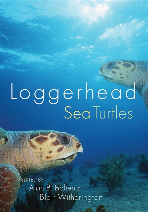 Loggerhead Sea Turtles (Paperback)