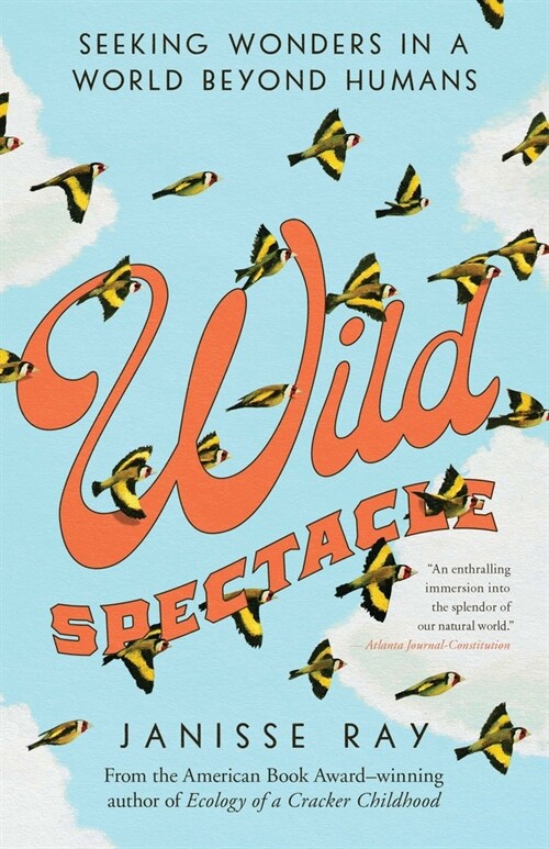 Wild Spectacle: Seeking Wonders in a World Beyond Humans (Paperback)