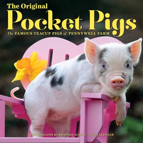 The Original Pocket Pigs Wall Calendar 2023: The Famous Teacup Pigs of Pennywell Farm (Wall)