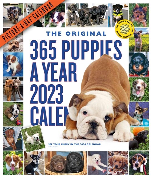 365 Puppies-A-Year Picture-A-Day Wall Calendar 2023: Absolutely Spilling Over with Puppies (Wall)