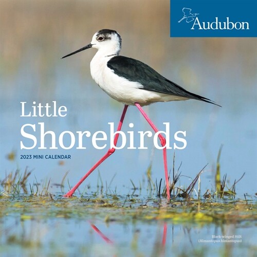 Audubon Little Shorebirds Mini Wall Calendar 2023: A Tribute to the Diversity of Shorebirds and the Fragile Ecosystems They Inhabit (Mini)