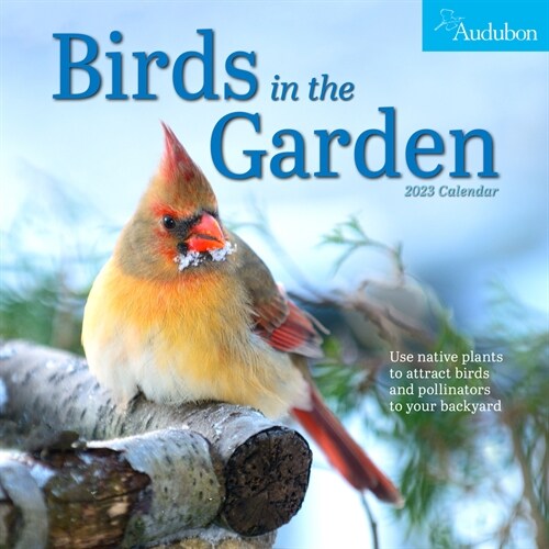 알라딘 Audubon Birds in the Garden Wall Calendar 2023 Use Native Plants