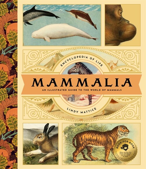 Mammalia: An Illustrated Guide to the World of Mammals (Hardcover)