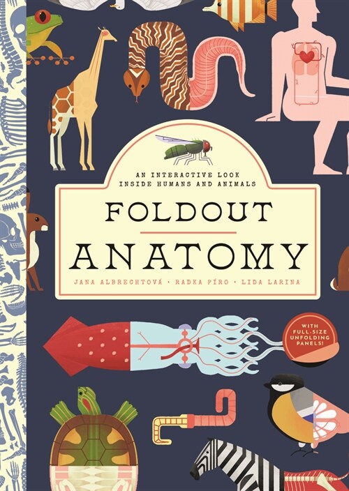Foldout Anatomy: An Interactive Look Inside Humans and Animals (Hardcover)
