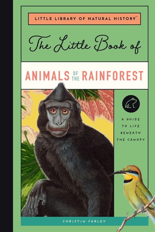 The Little Book of Animals of the Rainforest: A Guide to Life in Earths Most Diverse Ecosystem (Hardcover)