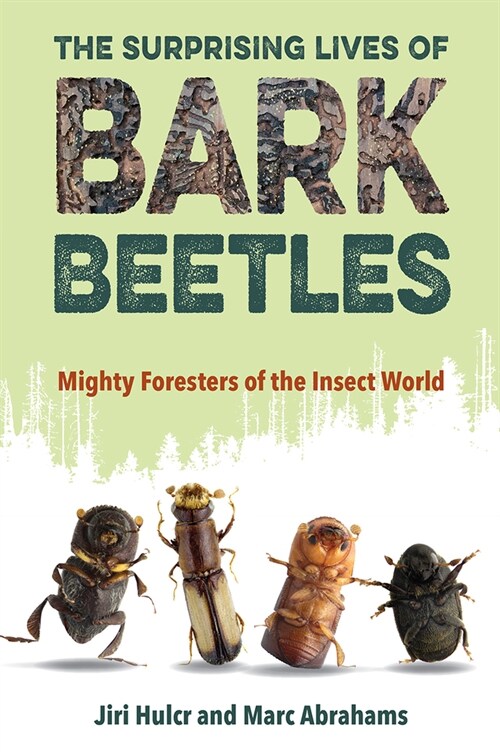 The Surprising Lives of Bark Beetles: Mighty Foresters of the Insect World (Paperback)