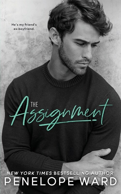 The Assignment (Paperback)