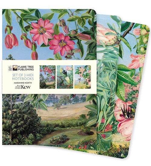 Kew Gardens: Marianne North Set of 3 Midi Notebooks (Notebook / Blank book)