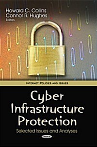 Cyber Infrastructure Protection (Hardcover, UK)