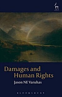 Damages and Human Rights (Hardcover)