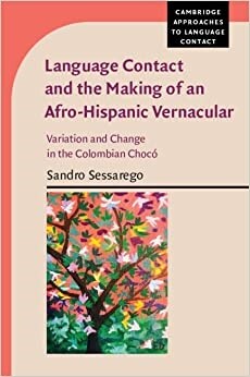 Language Contact and the Making of an Afro-Hispanic Vernacular : Variation and Change in the Colombian Choco (Paperback, New ed)