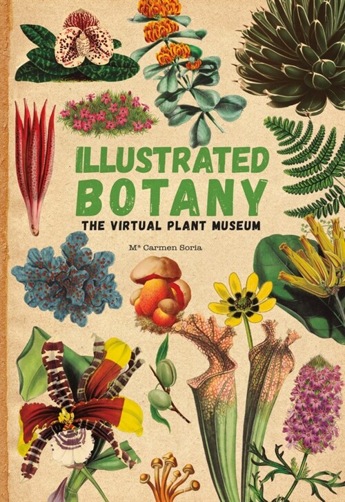 Illustrated Botany : The Virtual Plant Museum (Hardcover)