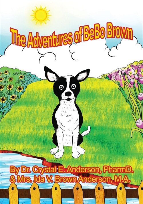 The Adventures of Bebo (Paperback)